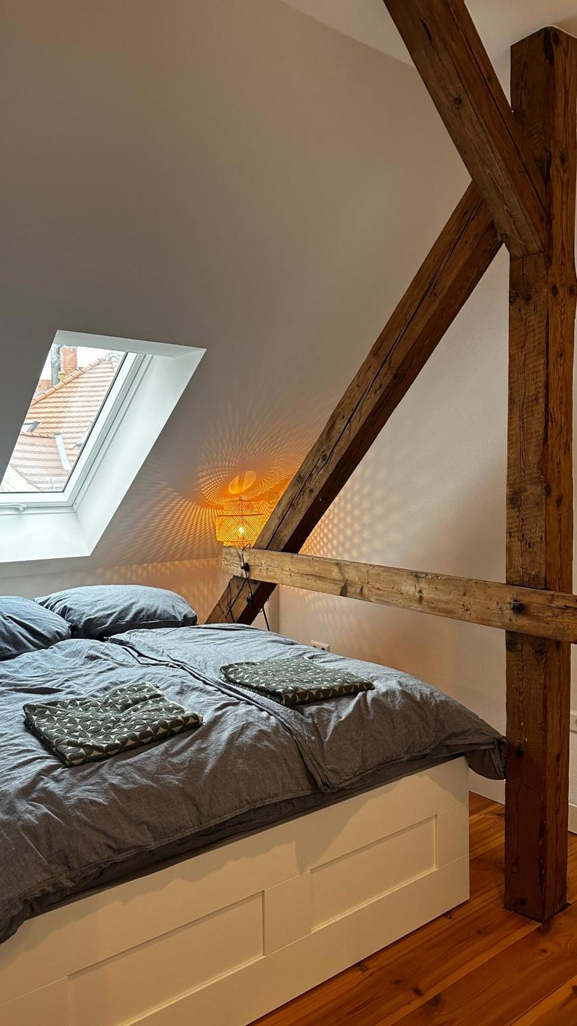 Ruhige-Moderne Wohnung Mit Burgblick Meißen Dış mekan fotoğraf